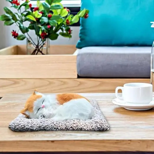 Sleeping Cute Cat for Car Dashboard Creative and Activated Carbon Simulation cat Golden and White - zeetas